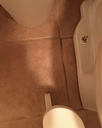 TeaCup Cleaning - Photo 9 - Car repair in Boise, ID, Boise