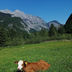 Photo n°7 de l'avis de Line. fait le 22/05/2022 à 18:18 sur le  Mooskaser Saletalm à Schönau am Königssee