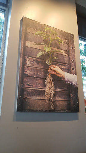 Coffee Shop «Starbucks», reviews and photos, 1245 Hancock St, Quincy, MA 02169, USA