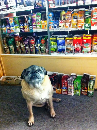 Tobacco Shop «Smoke Signals Pipe & Tobacco», reviews and photos, 3 Main St, Dover, NH 03820, USA