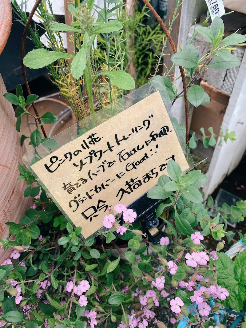 株 グリーンファームあい菜 ｆｌｏｒａ店 神奈川県横浜市瀬谷区阿久和南 園芸センター グルコミ