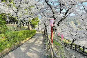 Oboshi Park image