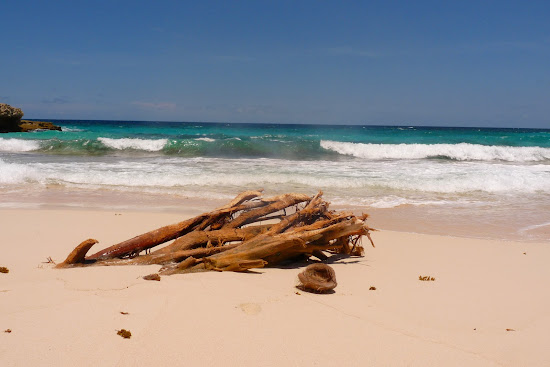 Playa Chikitu
