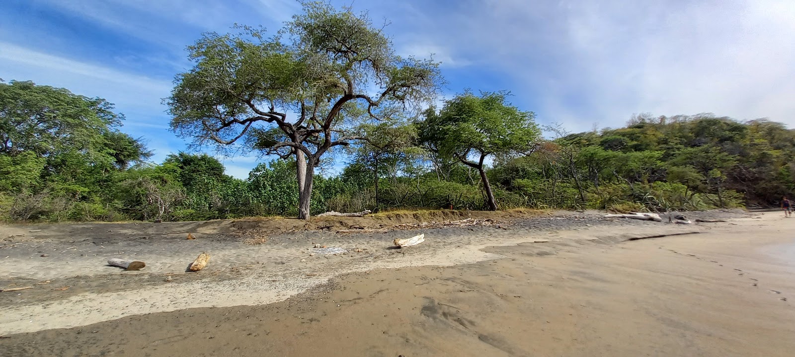 Zdjęcie Playa Grande z poziomem czystości wysoki