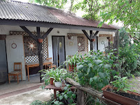 Árvalányhaj művésztanya