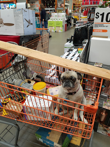 Home Improvement Store «The Home Depot», reviews and photos, 9890 N 90th St, Scottsdale, AZ 85258, USA