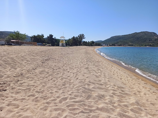 Paralia Toronis