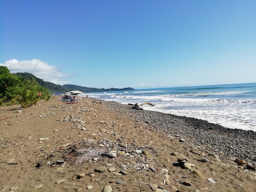 Foto av Playa Dominical med turkosa vatten yta