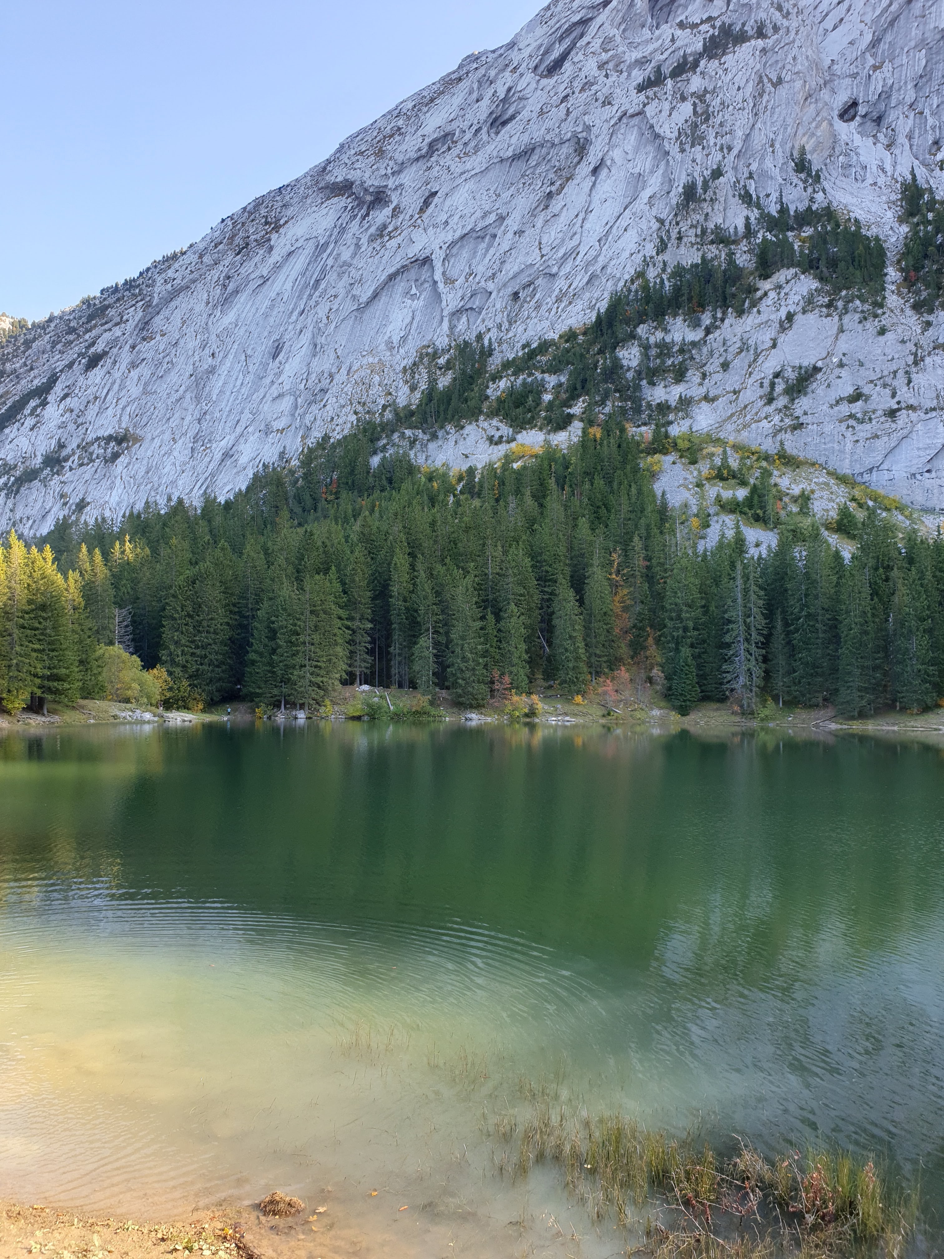 Photo n° 3 de l'avis de Flo.e fait le 18/10/2019 à 16:42