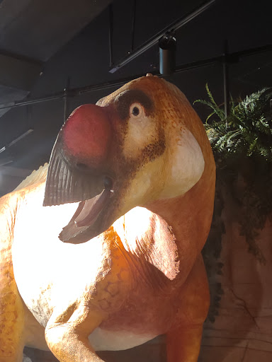 Tourist Attraction «Arizona Museum of Natural History», reviews and photos, 53 N Macdonald, Mesa, AZ 85201, USA