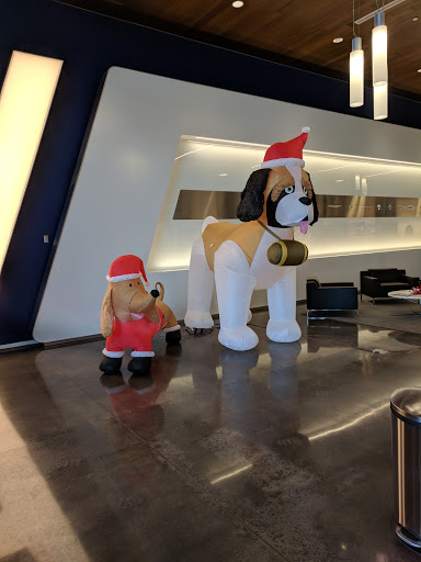 Car Dealer «Hendrick Automotive Group - Independence Center», reviews and photos, 6030 E Independence Blvd, Charlotte, NC 28212, USA