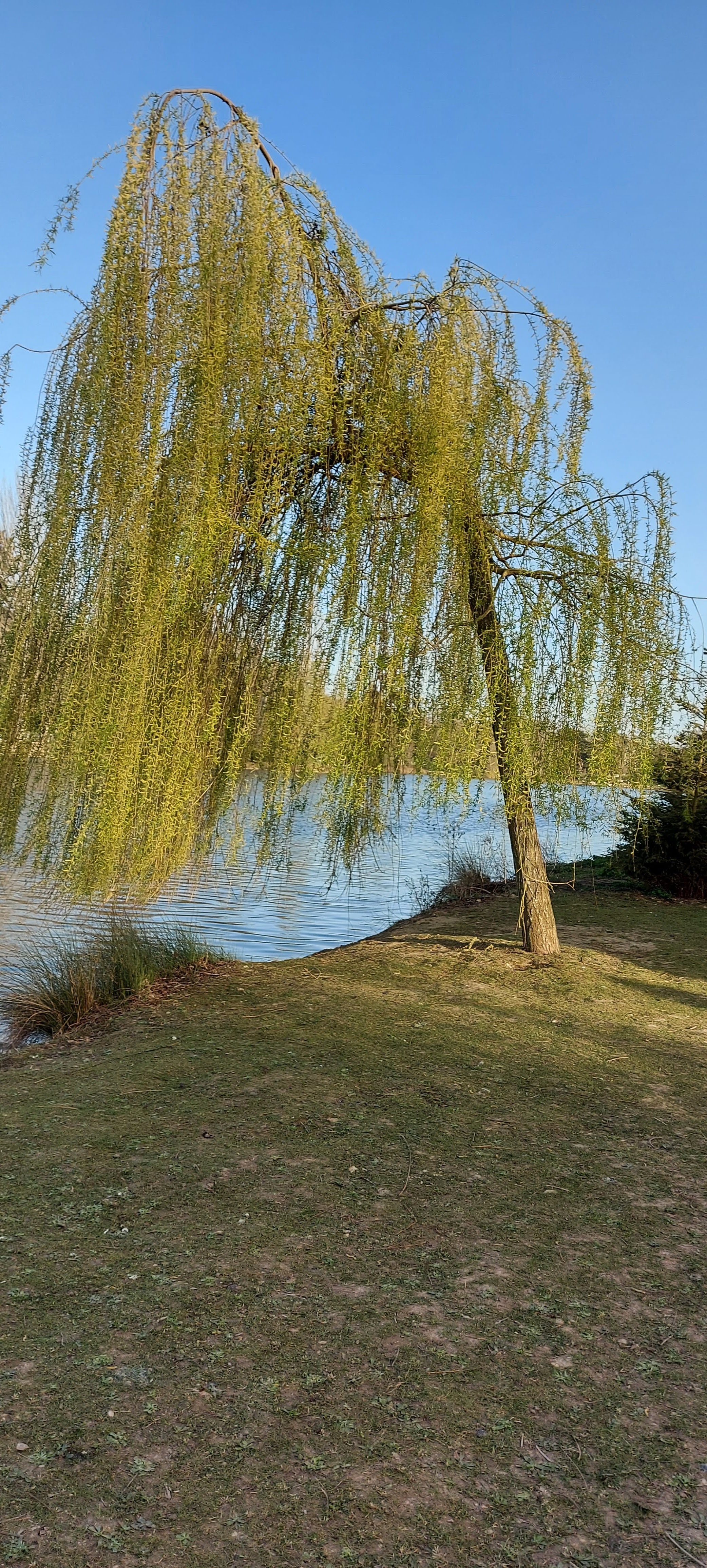 Photo n° 43 de l'avis de gwadilina.l fait le 12/05/2022 à 00:30