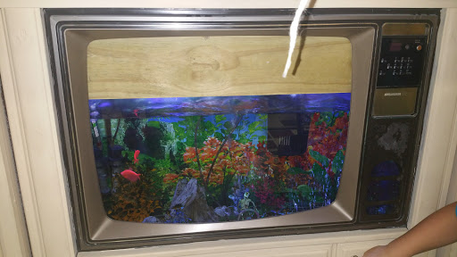 Art Center «Art of Recycle», reviews and photos