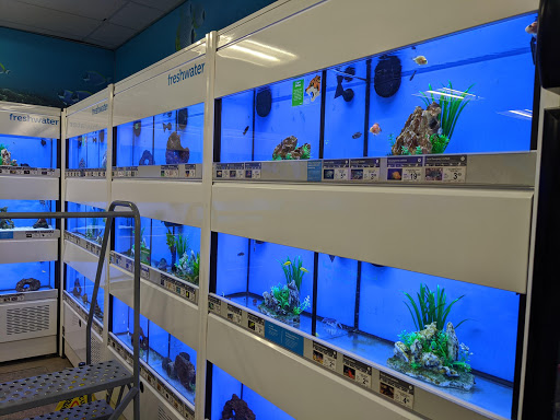 Pet Supply Store «Petco Animal Supplies», reviews and photos, 5601 Brodie Ln, Sunset Valley, TX 78745, USA