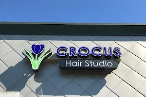 Crocus Hair Studio image
