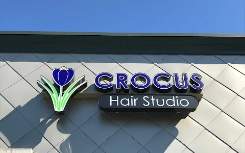 Crocus Hair Studio image