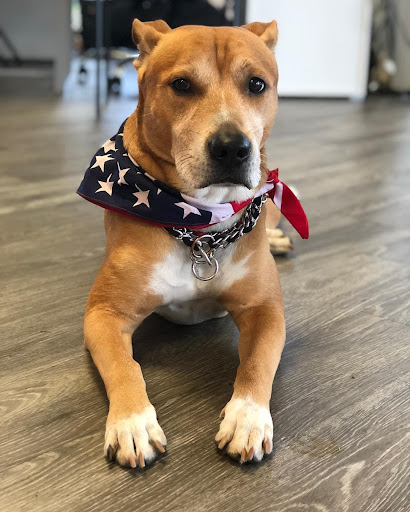 Boot Camp «Hardcore Fitness Orlando», reviews and photos, 6937 Stapoint Ct e, Winter Park, FL 32792, USA