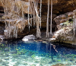 Cenote Dzonbacal photo