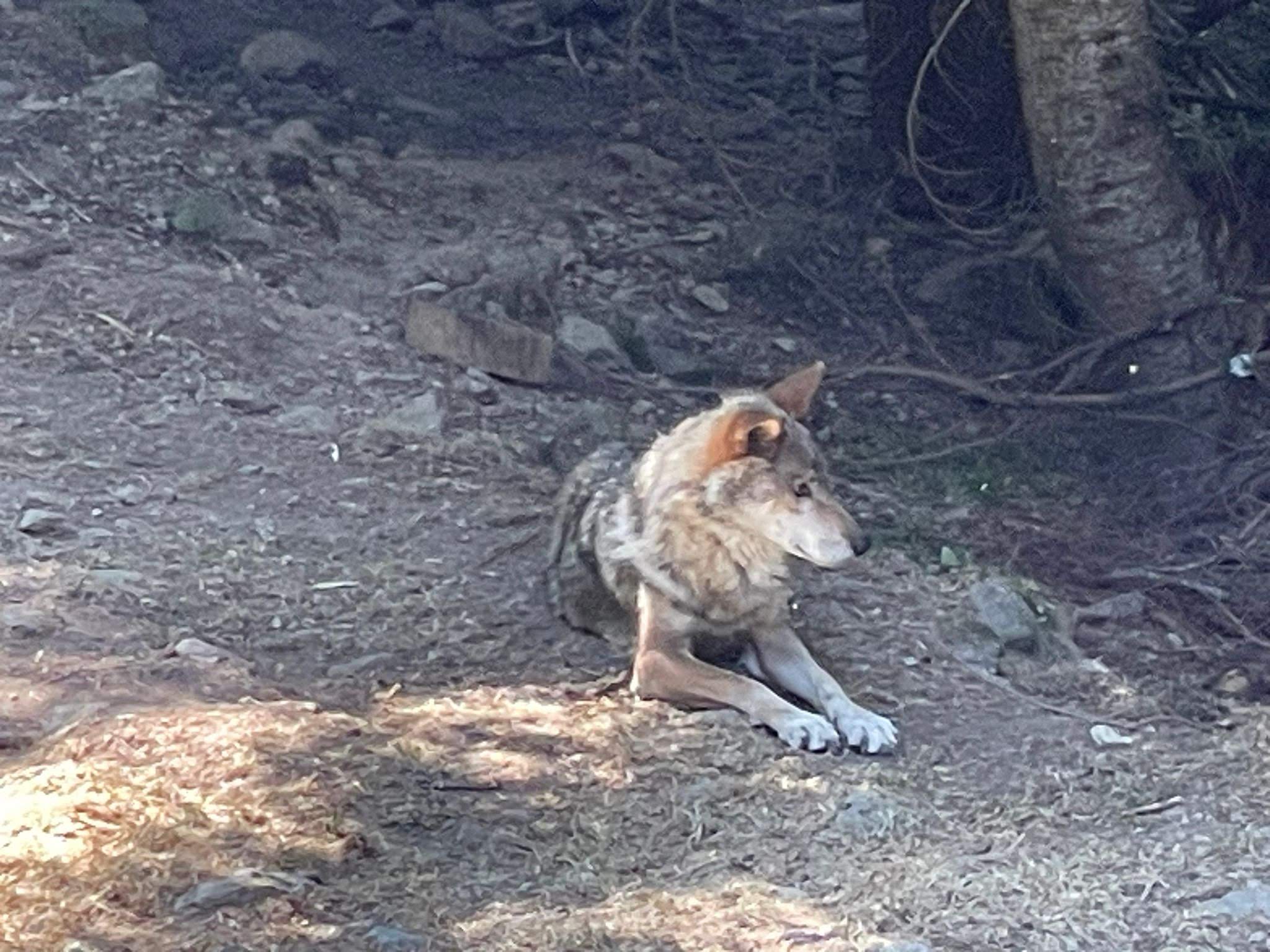 Photo n° 6 de l'avis de Dominique.a fait le 31/08/2023 à 12:38