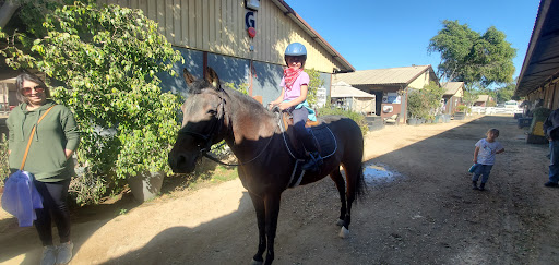 Newport Mesa Riding Center