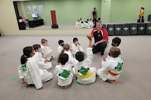 American Martial Arts Academy - Chester Springs, PA image