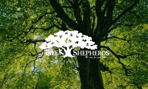 Tree Shepherds