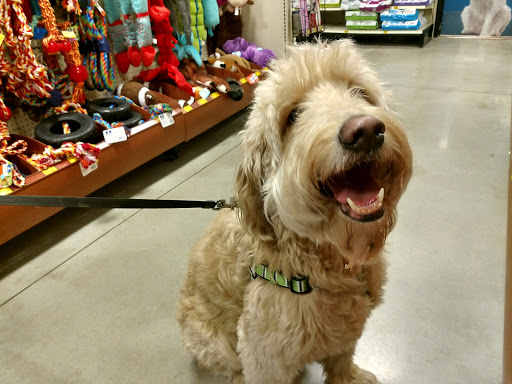 Pet Supply Store «PetSmart», reviews and photos, 1115 Vidina Pl, Oviedo, FL 32765, USA