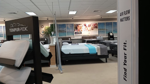 Furniture Store «Ashley HomeStore», reviews and photos, 3405 Amelia Dr, Orchard Park, NY 14127, USA