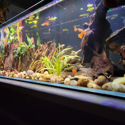 Lifegard Aquatics