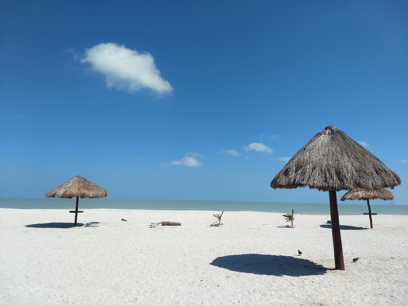 Photo de Palapa de Pemex zone des équipements