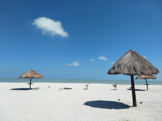Palapa de Pemex