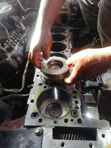 Mecánica A Diésel San José - Taller de reparación de automóviles