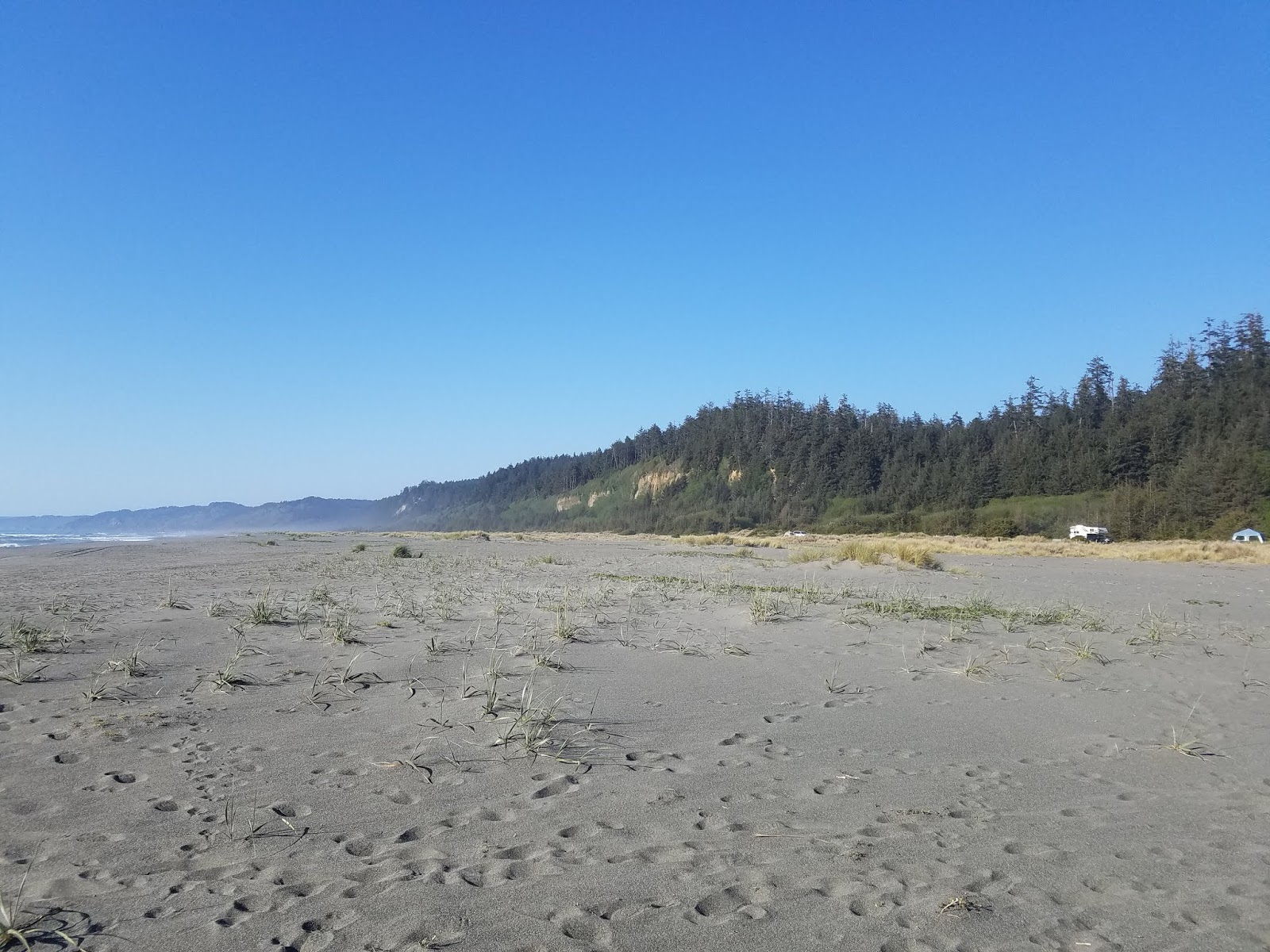 Foto af Gold Bluffs Beach med høj niveau af renlighed