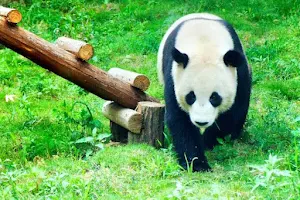 Hongshan Forest Zoo image