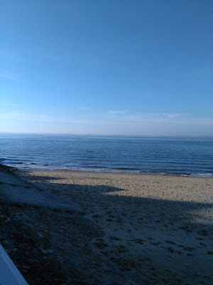 Beau Francis à Arcachon