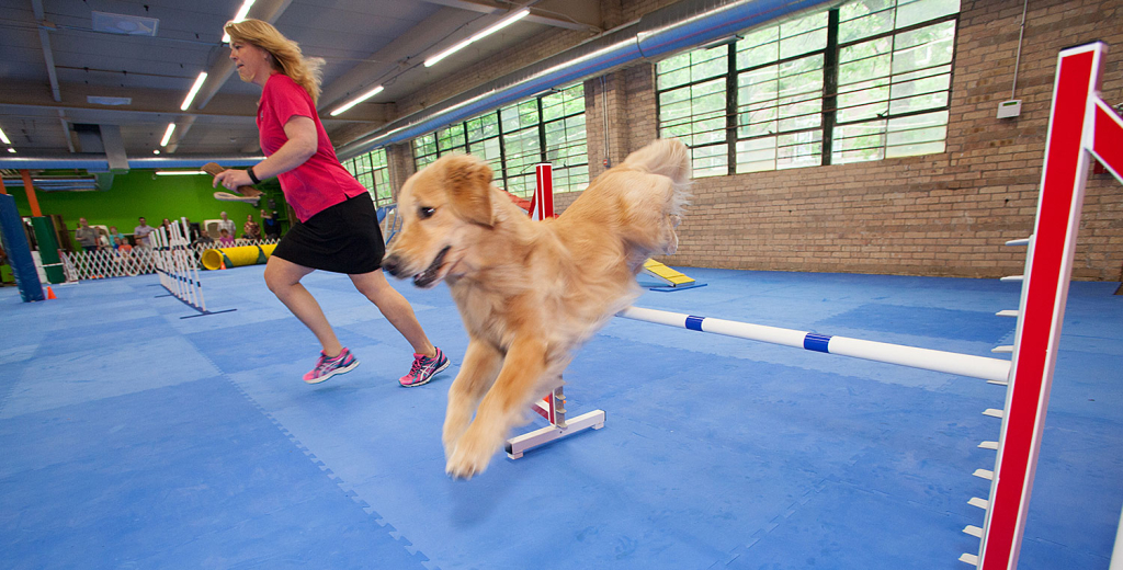 Urban Pooch Training and Fitness Center