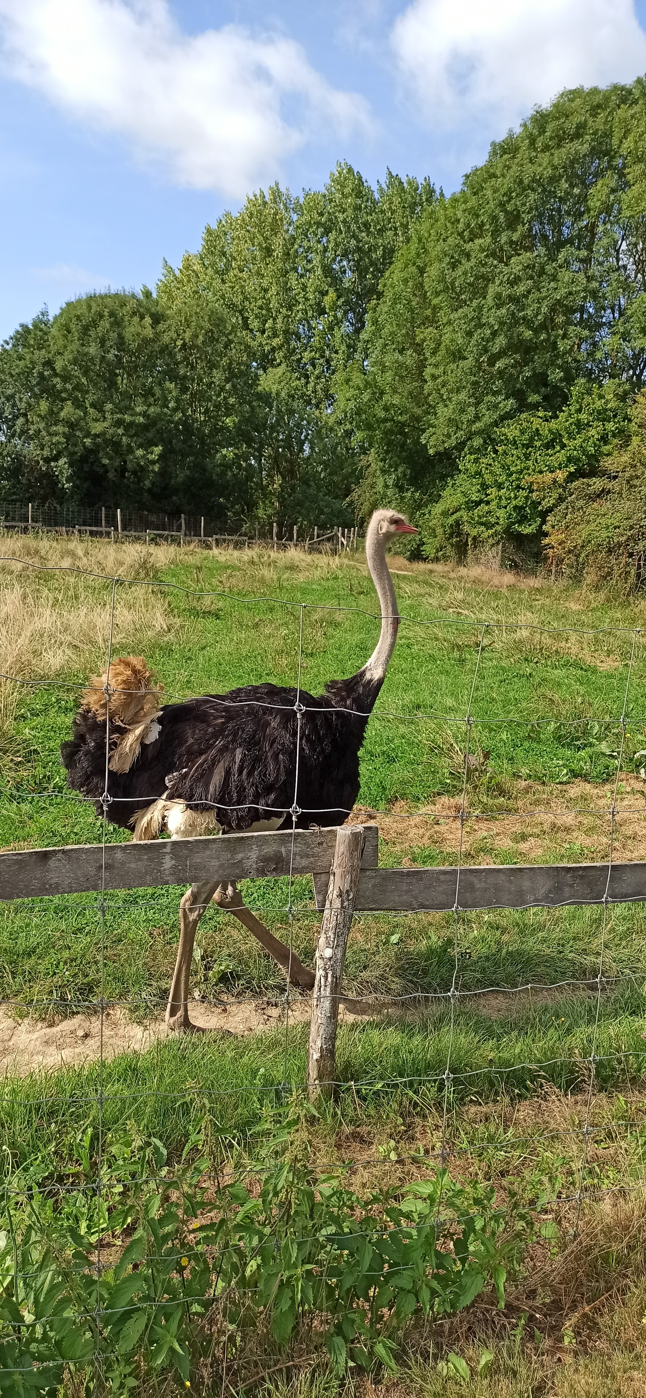 Photo n° 1 de l'avis de Amandine.. fait le 25/08/2021 à 05:09