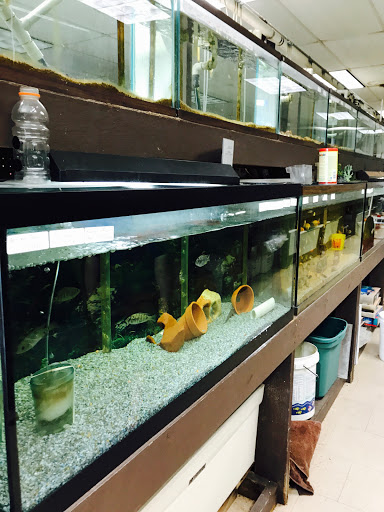 Tropical Fish Store «J B Tropical Fish», reviews and photos, 1950 N Black Horse Pike, Williamstown, NJ 08094, USA