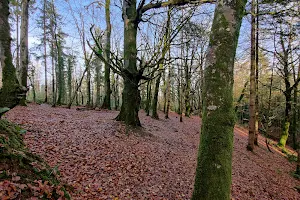 Garryduff Woods Forest Recreational Area image