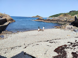 Plage de Port Moguer'in fotoğrafı uzun koy ile birlikte