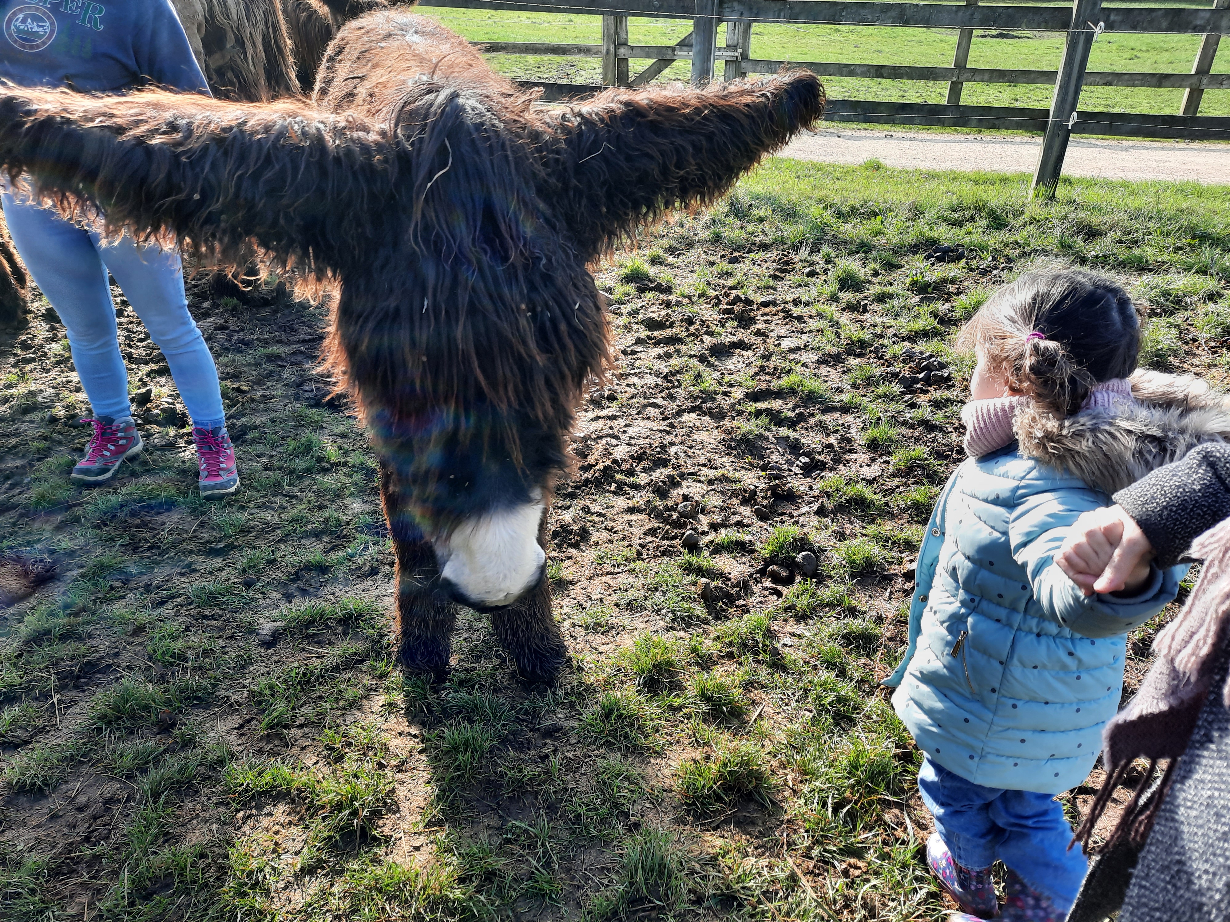 Photo n° 2 de l'avis de Stéphane.u fait le 05/11/2021 à 17:24