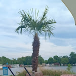 Photo n°3 de l'avis de A..o fait le 03/05/2024 à 16:39 sur le  Café Seerose - Potsdam à Potsdam
