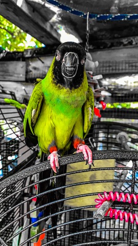 Thrift Store «OddBalls Nifty Thrift», reviews and photos, 530 NE 13th St, Fort Lauderdale, FL 33304, USA