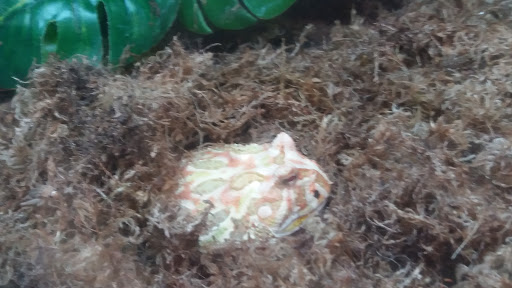 Pet Supply Store «Petco Animal Supplies», reviews and photos, 2005 Dr Martin Luther King Jr Pkwy, Chico, CA 95928, USA