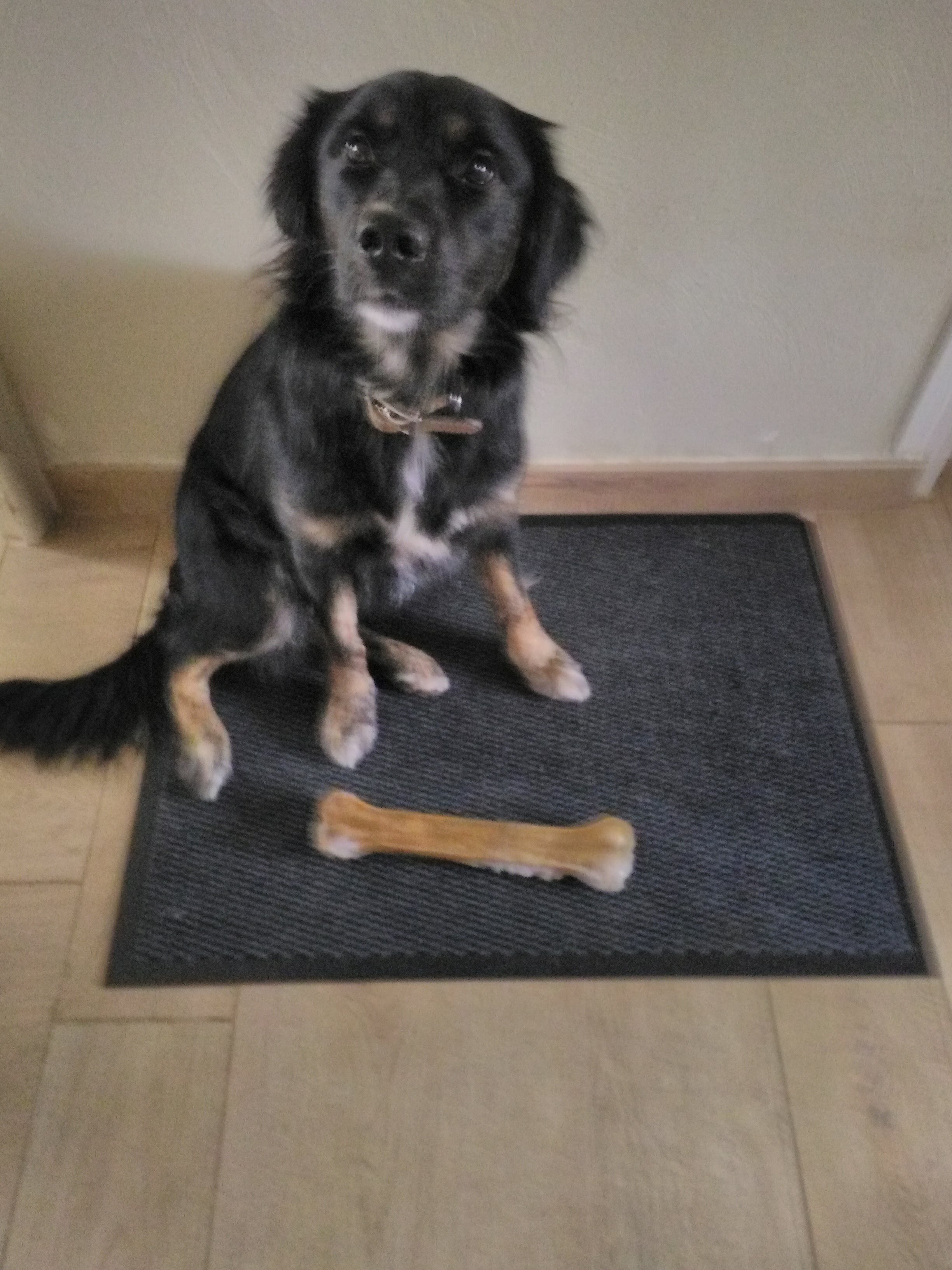 Photo n° 1 de l'avis de Jacky.e fait le 02/03/2019 à 10:49