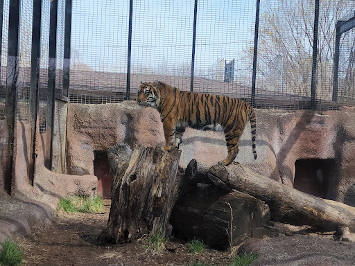 Zoo «Topeka Zoo», reviews and photos, 636 SW Zoo Pkwy, Topeka, KS 66606, USA