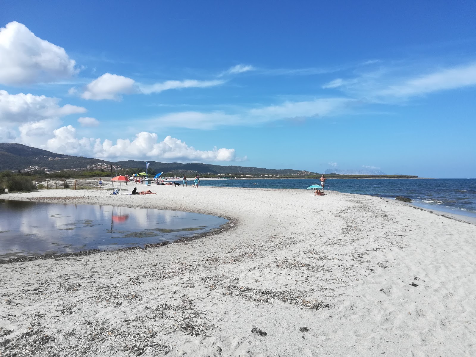Foto van Spiaggia per Cani - goede huisdiervriendelijke plek voor vakantie
