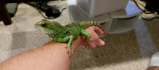 Pet Supply Store «PetSmart», reviews and photos, 6650 N Durango Dr, Las Vegas, NV 89149, USA