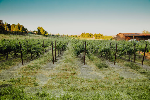 Winery «Dante Robere Vineyards», reviews and photos, 1200 Wetmore Rd, Livermore, CA 94550, USA