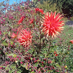 Photo n° 2 de l'avis de Maëva. fait le 21/09/2022 à 10:51 pour Les Jardins SOTHYS se sont endormis pour l'hiver. Nous vous donnons rendez-vous dès le 17 avril 2025. à Auriac